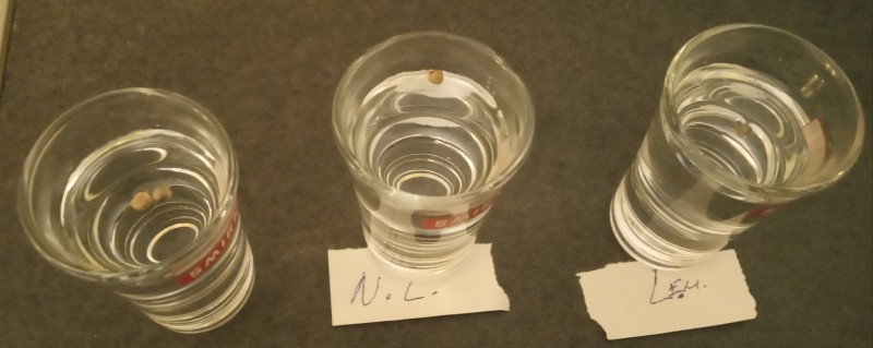 IMG_20210306_094930.jpg
