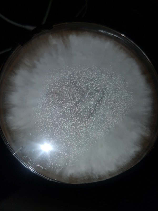 20190117_194942-min.jpg