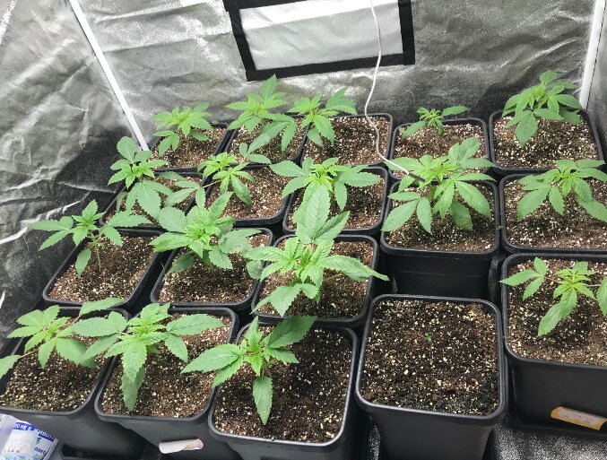 foto_no_exif (23).jpg