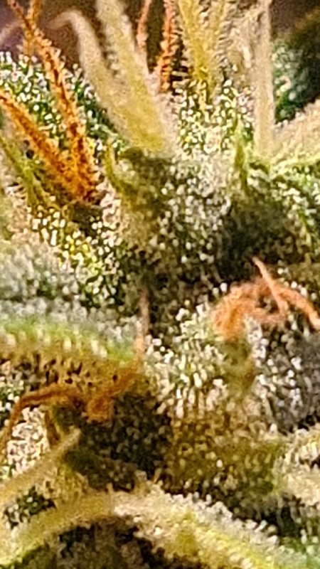 CM210506-134058002.jpg