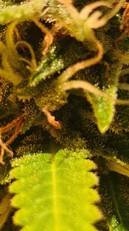 CM210506-133715001.jpg