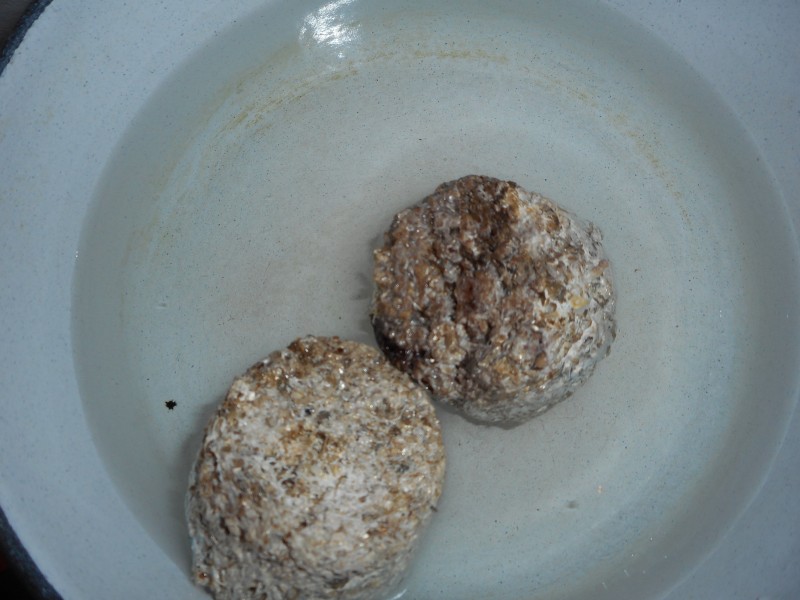 Киснене на Psilocybe cubensis торти във вода за да се напоят с вода преди новото бране / флъш. С водата от тортите си поливам в градината.