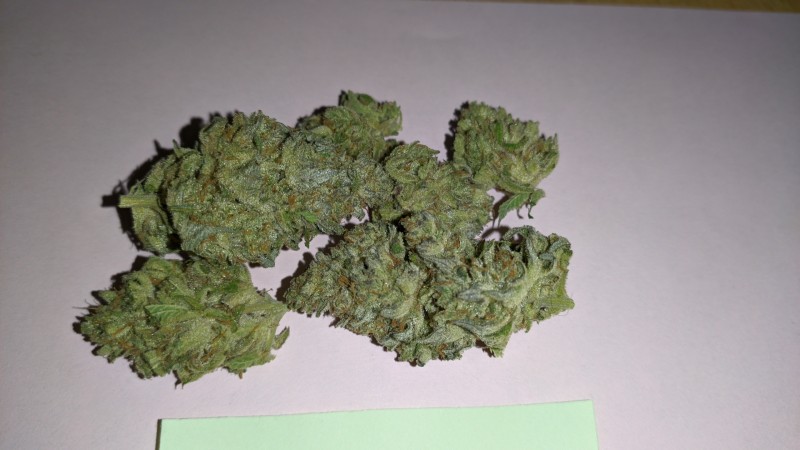 TheWhiteOG1_3.jpg