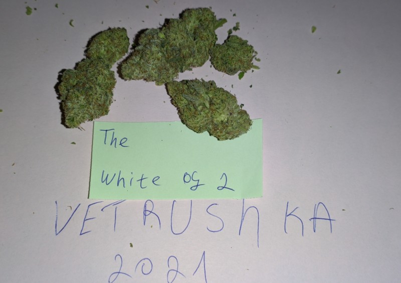 TheWhiteOG2_1.jpg