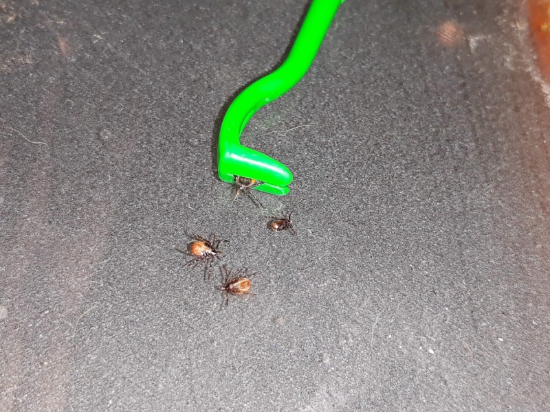 20180607_001420.jpg