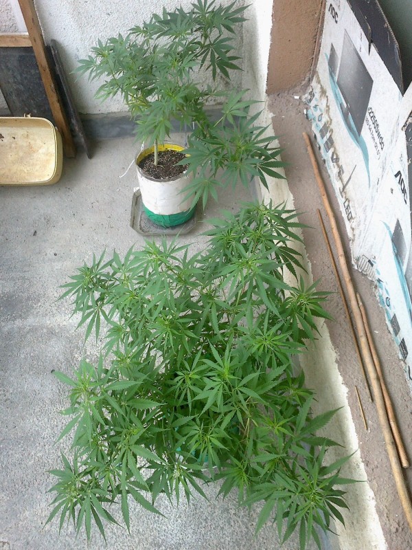 28052021478 - Copy.jpg