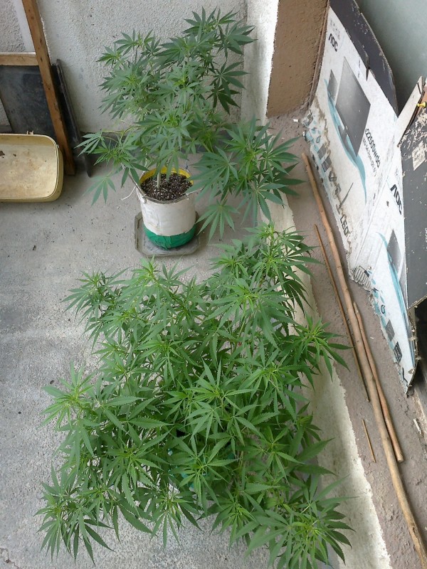 04062021482 - Copy.jpg