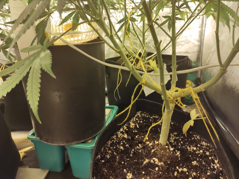 foto_no_exif (9).jpg