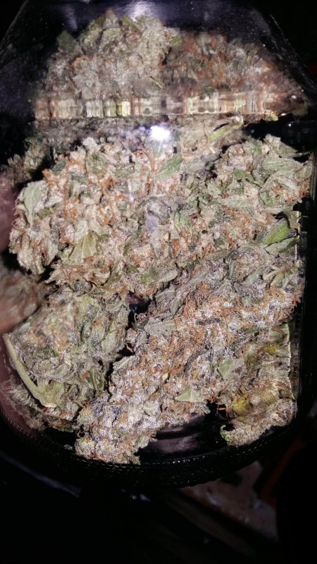 724066_fast-buds-tangie-039-maticfastbudstangiematic-min.jpg