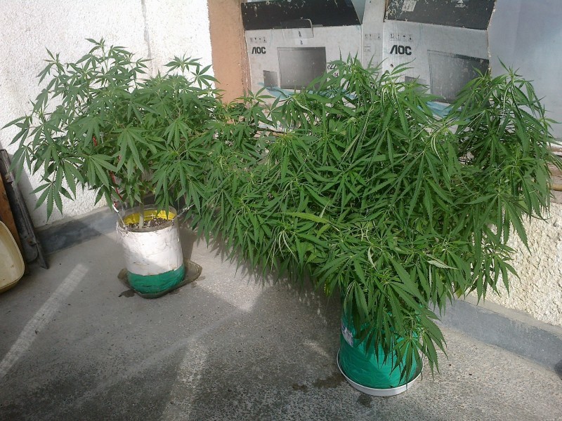 02072021491 - Copy.jpg