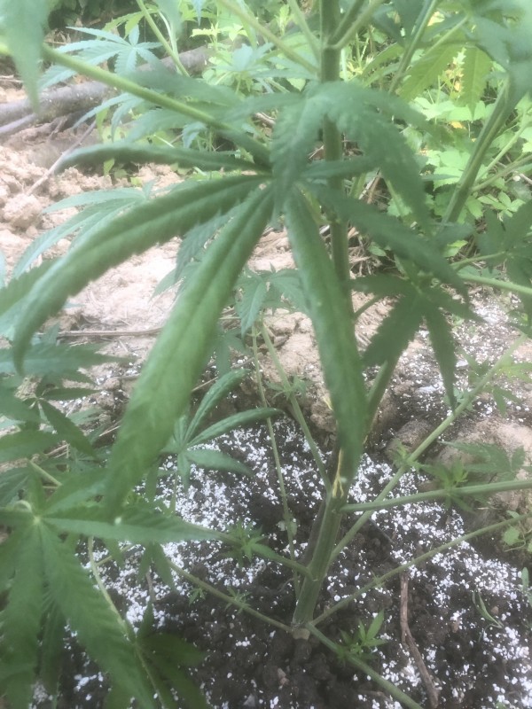 09587E0E-4392-46AB-80DF-3E63D9A8FA80-min.jpeg