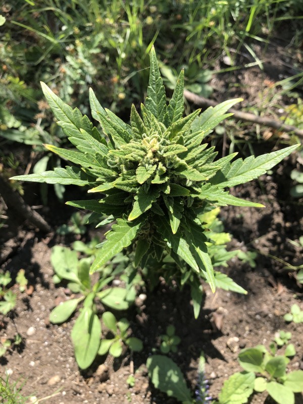 9E106D1C-9423-445D-9285-C6D413A8BE30.jpeg