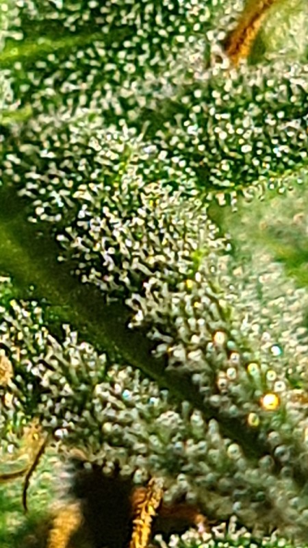 CM210720-173603003.jpg