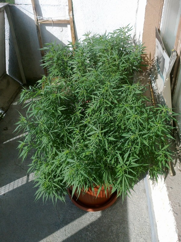 30072021497 - Copy.jpg