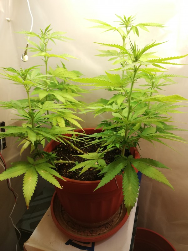 foto_no_exif (1).jpg