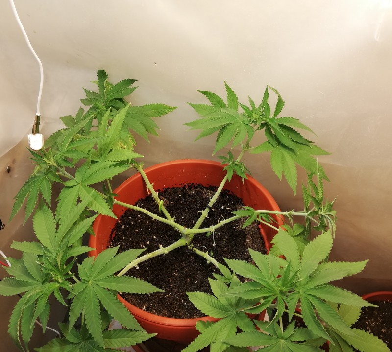 foto_no_exif (2).jpg