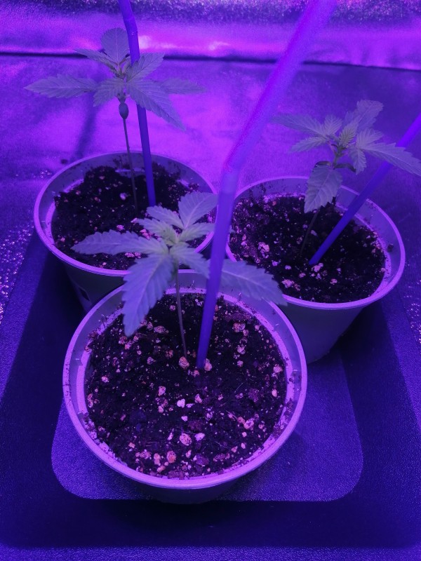 IMG_20210924_000315.jpg