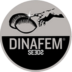 dinafem seeds (40% намаление на някой сортове)