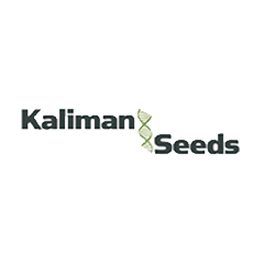 Kaliman Seeds (60% намаление на някой сортове)