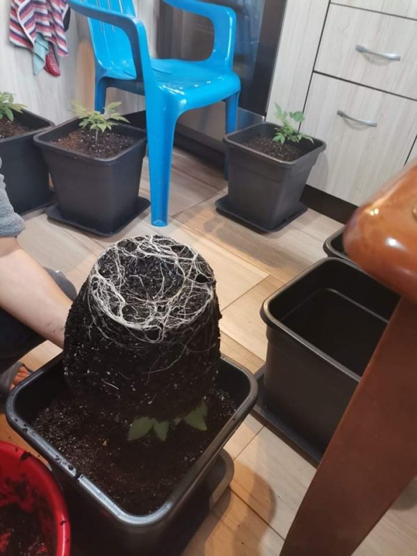 received_1538946216455431.jpeg