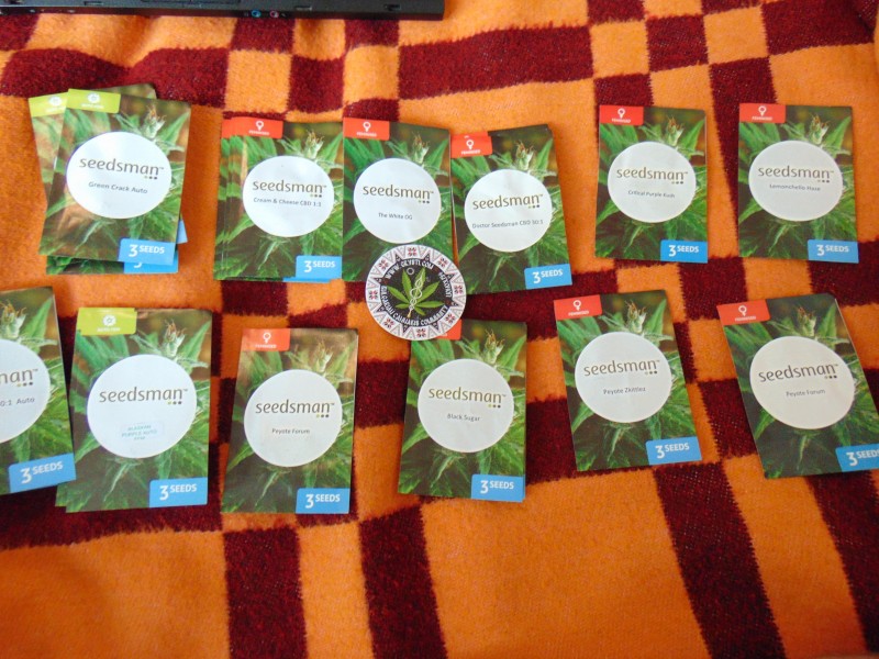 Seedsmannew-min.JPG