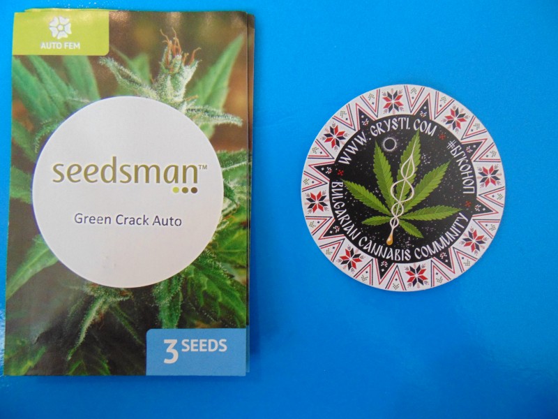Seedsmannew2-min.JPG
