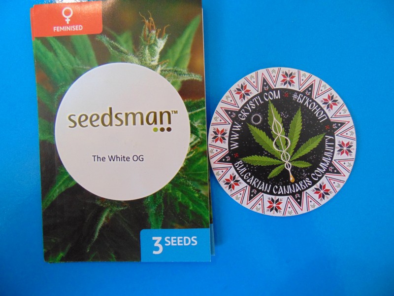 Seedsmannew4-min.JPG