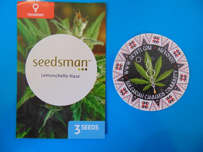 Seedsmannew6-min.JPG