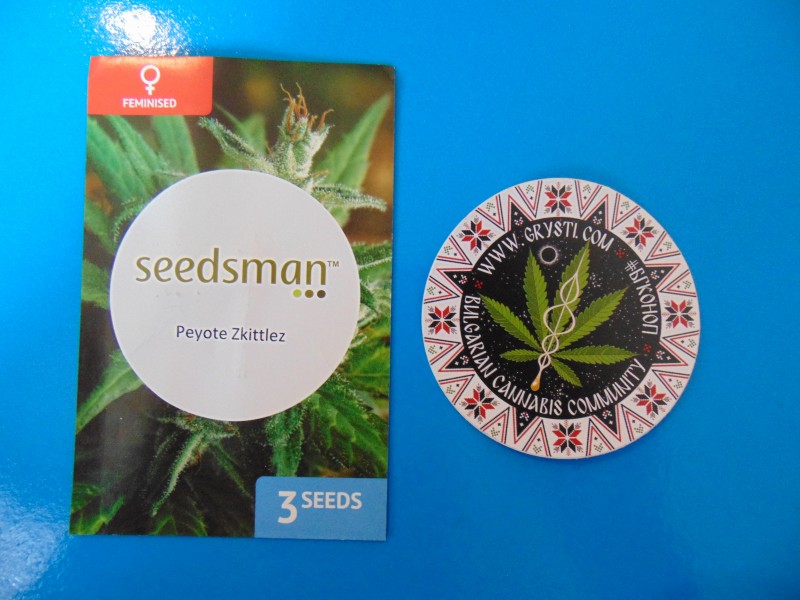 Seedsmannew10-min.JPG