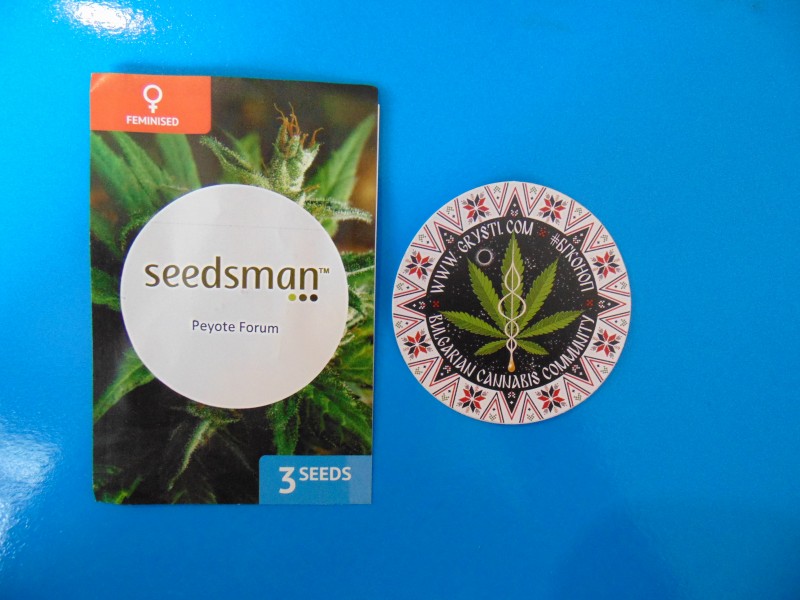 Seedsmannew11-min.JPG