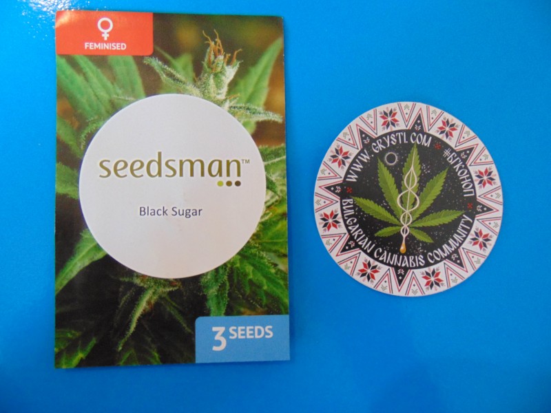 Seedsmannew12-min.JPG