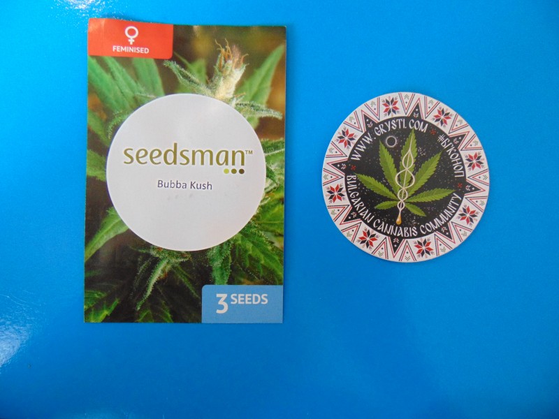 Seedsmannew13-min.JPG