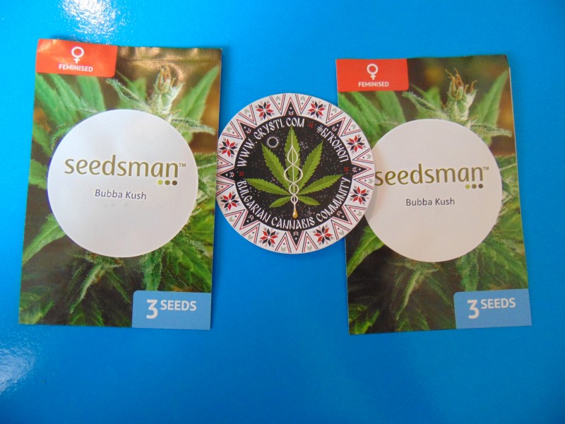 Seedsmannew14-min.JPG
