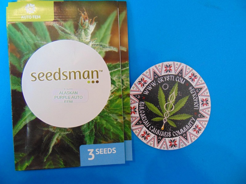 Seedsmannew16-min.JPG