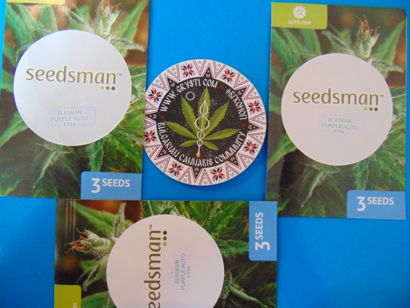 Seedsmannew17-min.JPG