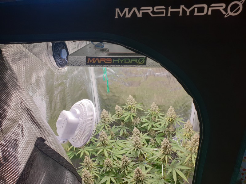 marsHydro.jpg