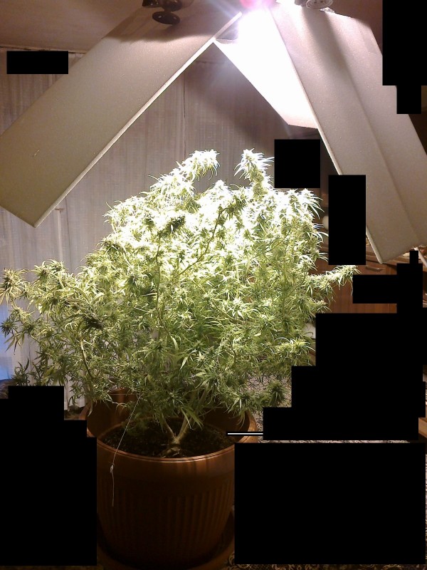 002 - Copy.jpg