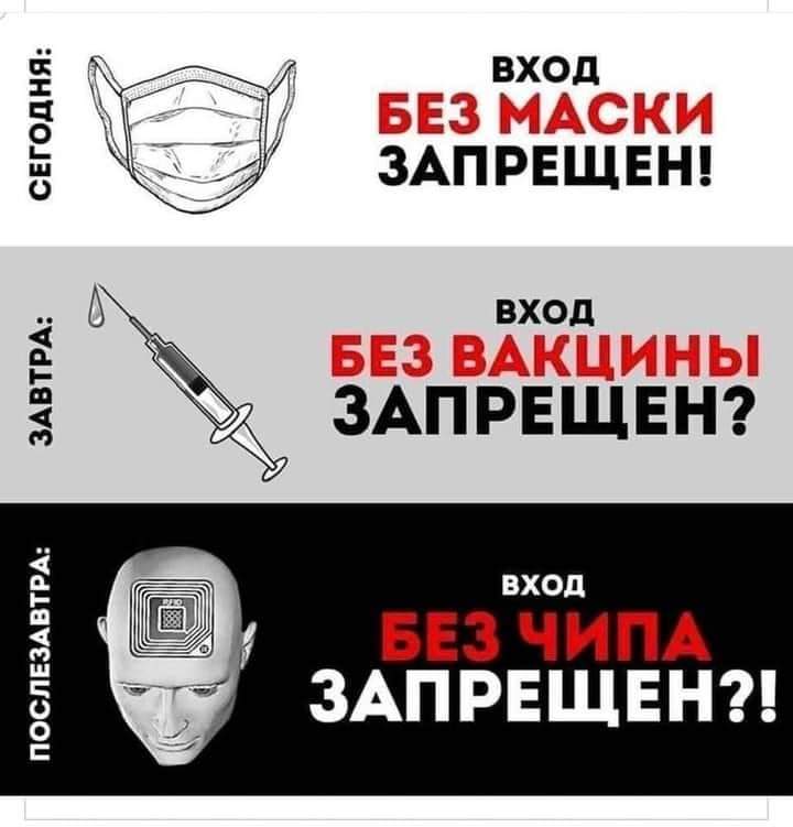 FB_IMG_1638652526260.jpg
