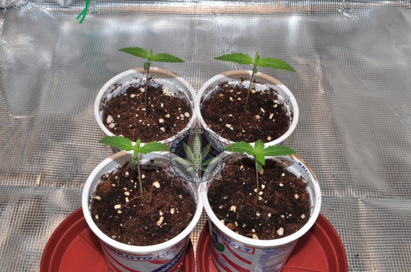 foto_no_exif (3).jpg