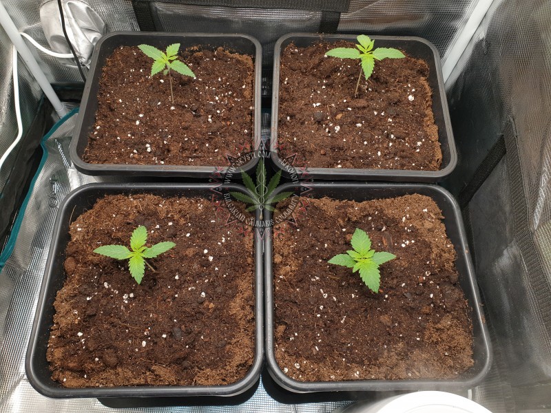 foto_no_exif (4).jpg