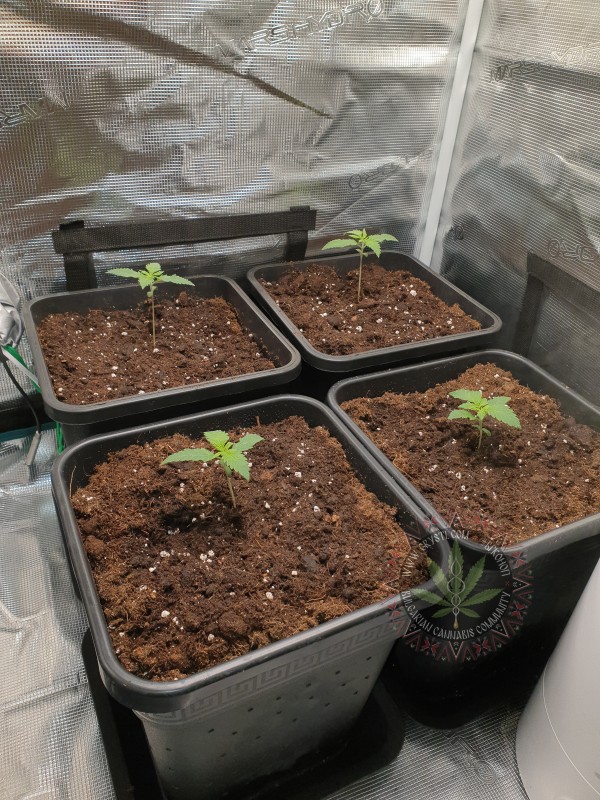 foto_no_exif (5).jpg