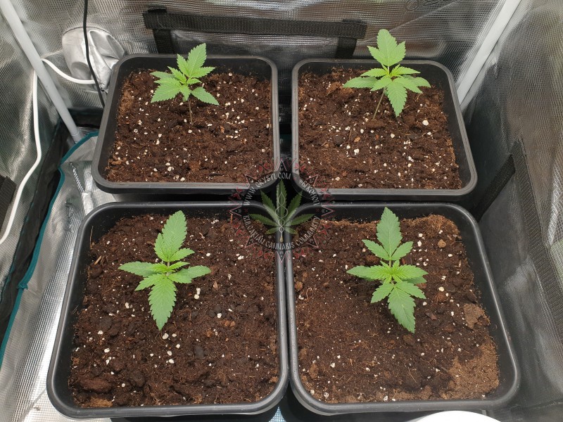 foto_no_exif (6).jpg