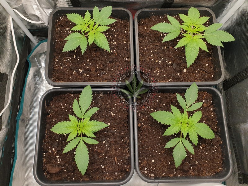 foto_no_exif (7).jpg