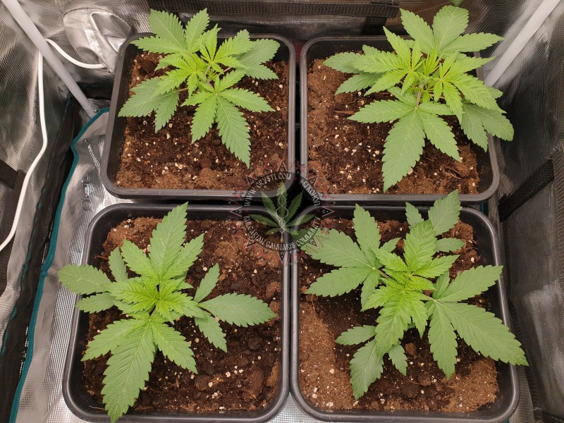 foto_no_exif (8).jpg