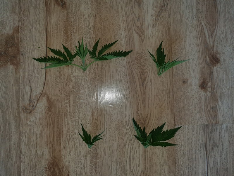 foto_no_exif (15).jpg