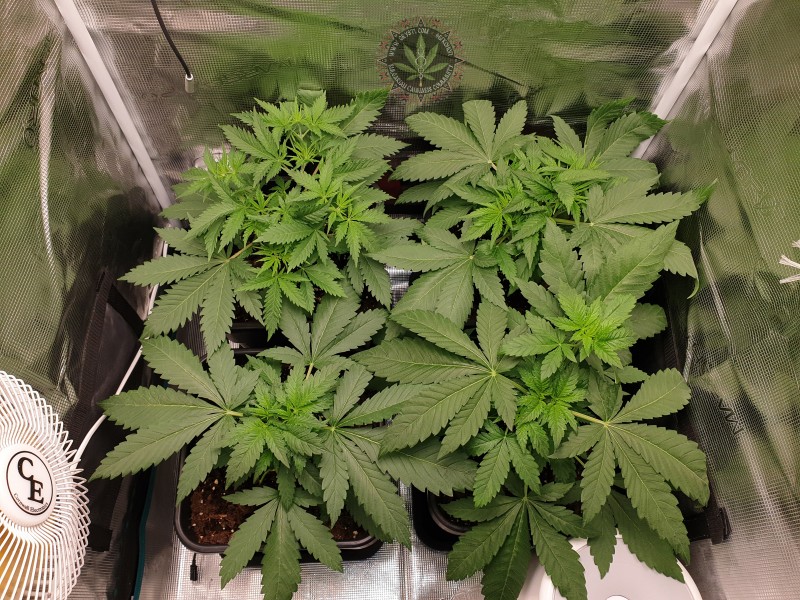 foto_no_exif (16).jpg