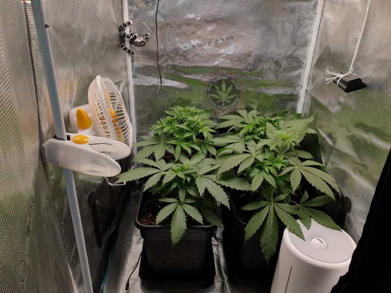 foto_no_exif (17).jpg