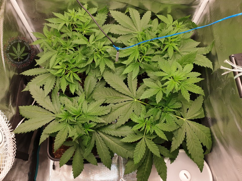 foto_no_exif (18).jpg