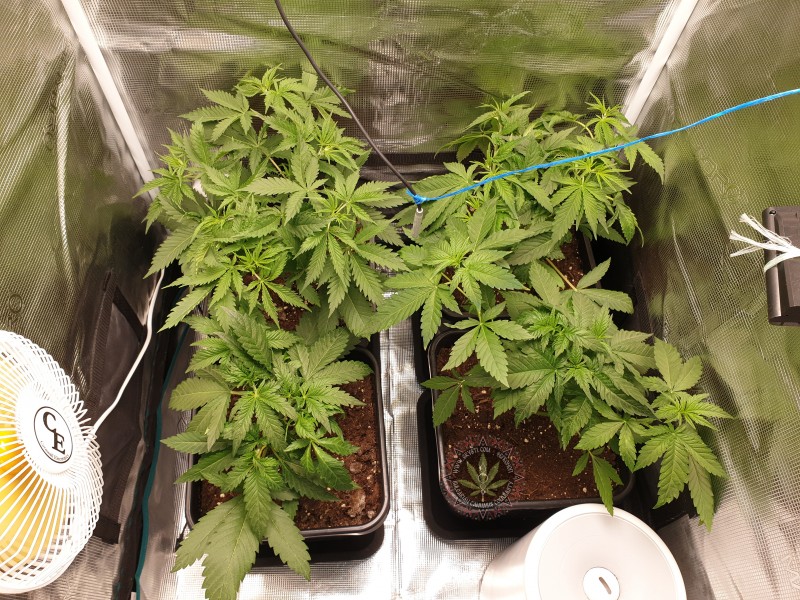 foto_no_exif (20).jpg