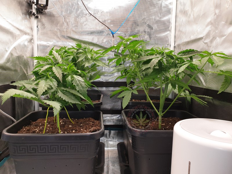 foto_no_exif (21).jpg